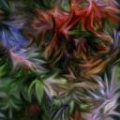 020107 (11)